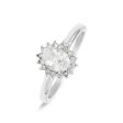 Ladies  Ring Stroili 1685859 12 Online now