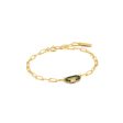 Ladies  Bracelet Ania Haie B031-01G-G 19 cm Sale